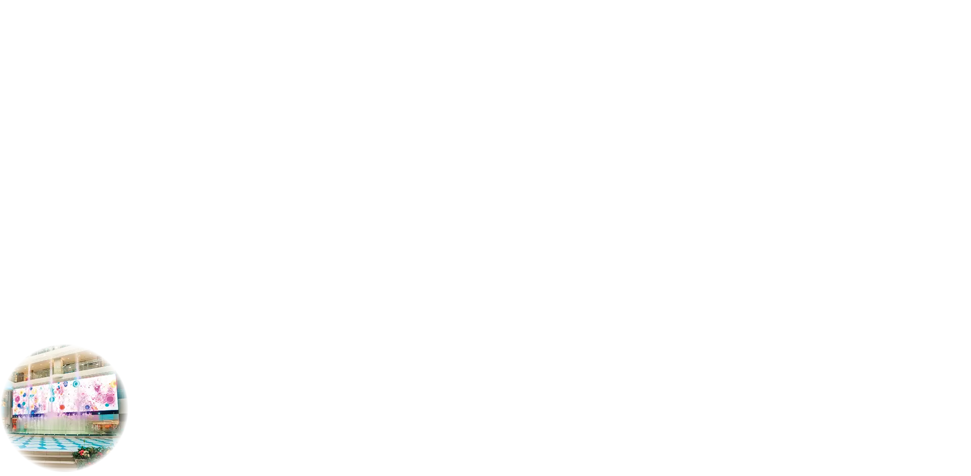 丸画像
