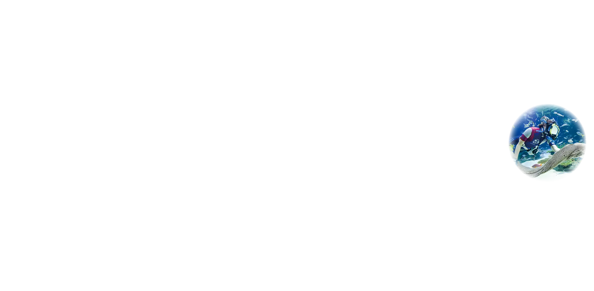 丸画像