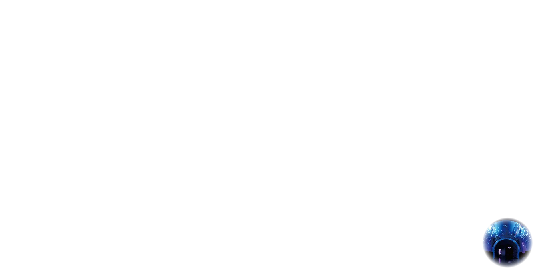 丸画像