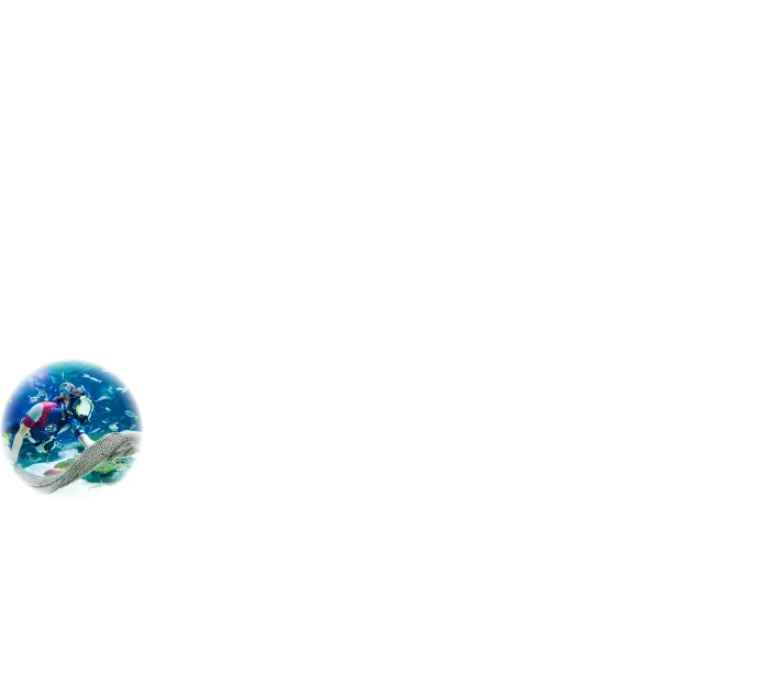 丸画像