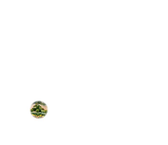 丸画像