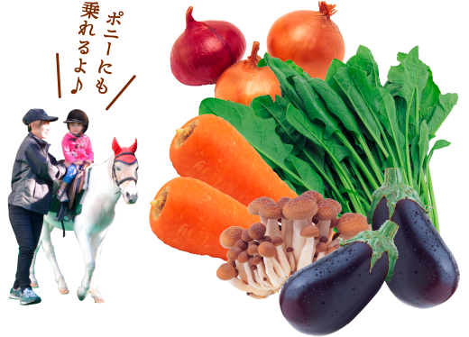 第58回 農林水産祭 実りのフェスティバル