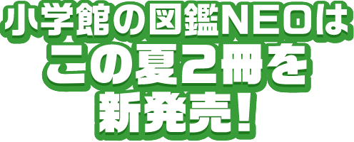 小学館の図鑑NEOはこの夏2冊を新発売！