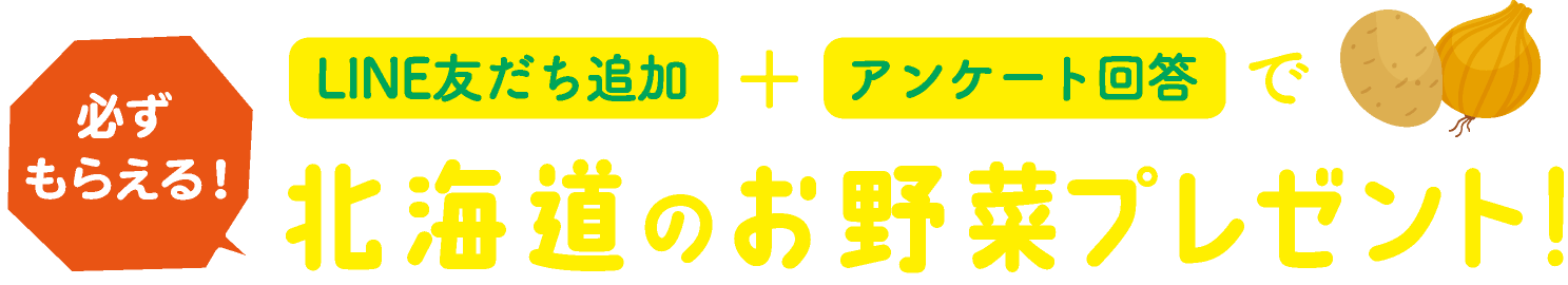 北海道のお野菜プレゼント