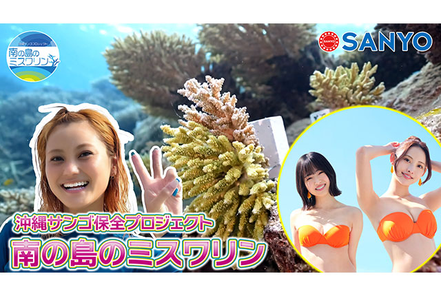 南の島のミスワリン