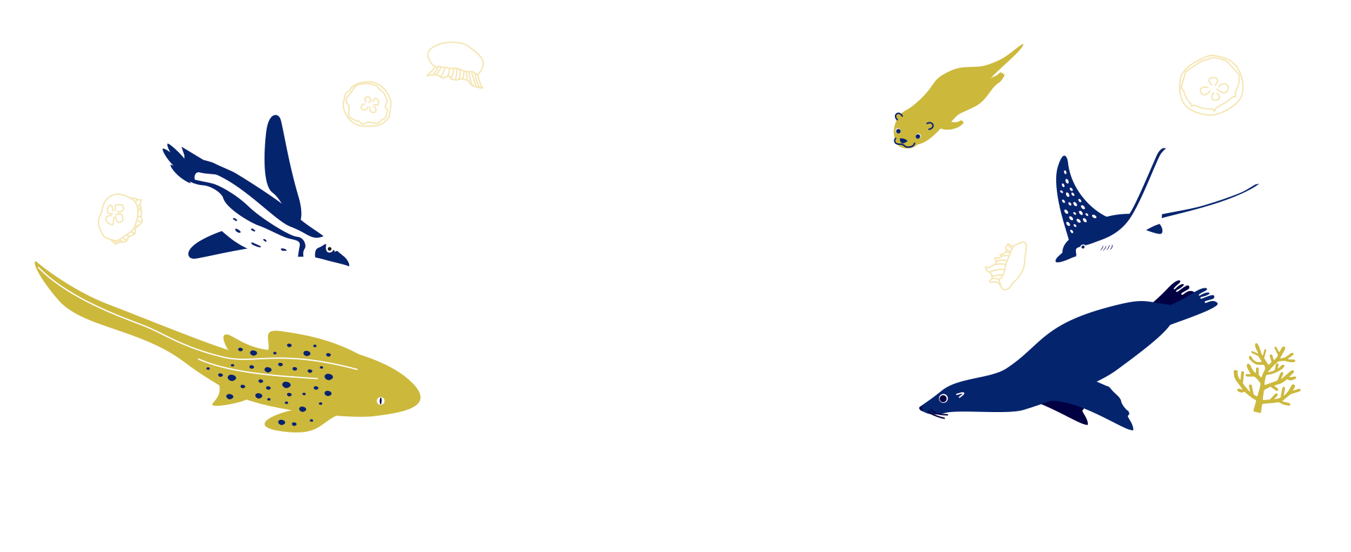 生き物