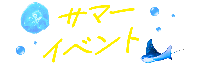 サマーイベント
