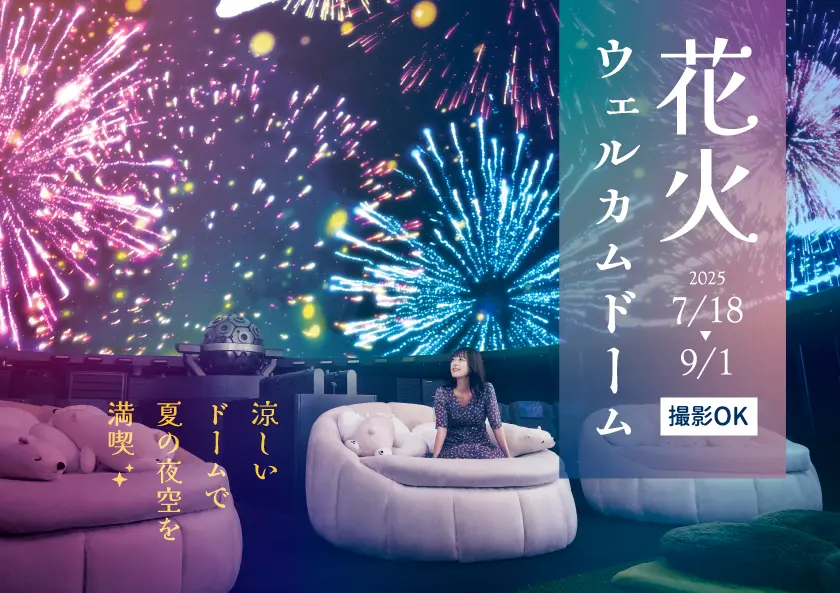 花火ウェルカムドーム