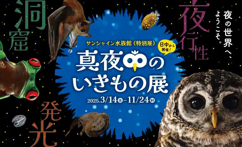 サンシャイン水族館《特別展》 真夜中のいきもの展
