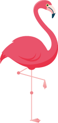 ループ画像