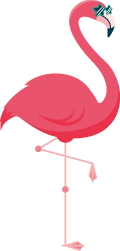 ループ画像