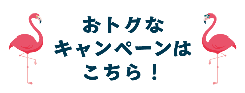 夏イベント