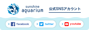 Sunshine Aquarium 公式SNSアカウント