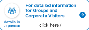 For detailed information for Groups and Corporate Visitors, click here.