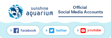 Sunshine Aquarium’s Official Social Media Accounts