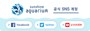 Sunshine Aquarium 공식 SNS 계정