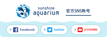Sunshine Aquarium 官方SNS账号